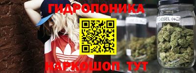 PSILOCYBIN Туймазы