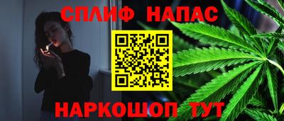 хмурый Тара